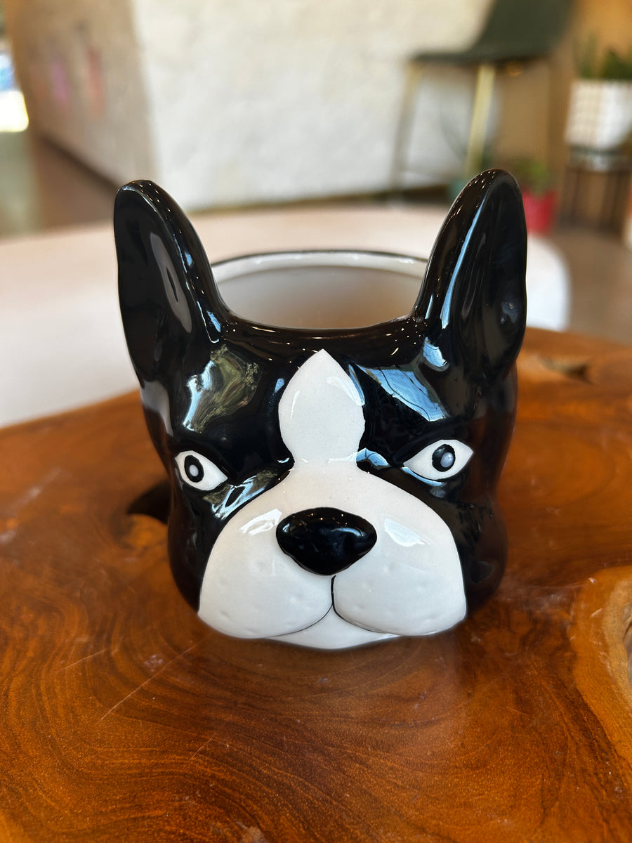 boston terrier succulent planter Bernard the Boston Terrier Dog Planter – ILoveTus Succulents