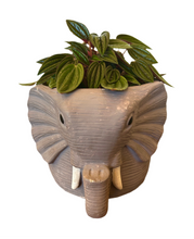 Load image into Gallery viewer, Grey Elephant Planter