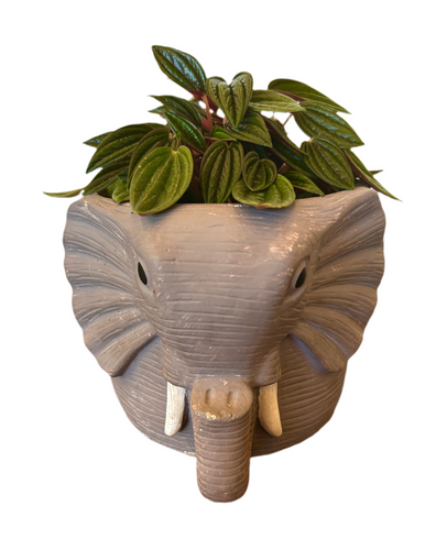 Grey Elephant Planter