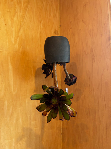 iLoveTus Upside Down Hanging Planters