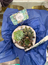 Load image into Gallery viewer, iLoveTus Planting Experience Gift Certificate