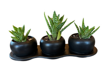 Load image into Gallery viewer, Black Cups Trio Planter