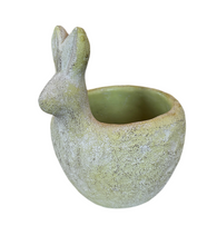 Load image into Gallery viewer, Mossy Rabbit Planter