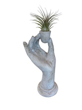 Load image into Gallery viewer, Tall Elegant Hand Air Plant Holder