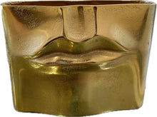 Load image into Gallery viewer, Gold Lip Planter