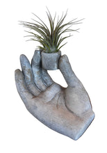 Load image into Gallery viewer, Elegant Hand Air Plant Holder