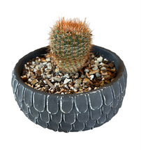 Load image into Gallery viewer, Black Scalloped Planter (Short)