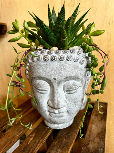 Buddha Wall Hanging Planter
