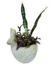 Load image into Gallery viewer, Mossy Rabbit Planter