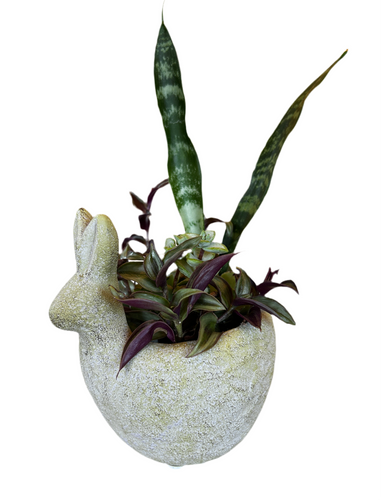 Mossy Rabbit Planter