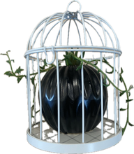 Load image into Gallery viewer, Small Hanging Cage Succulent Planter