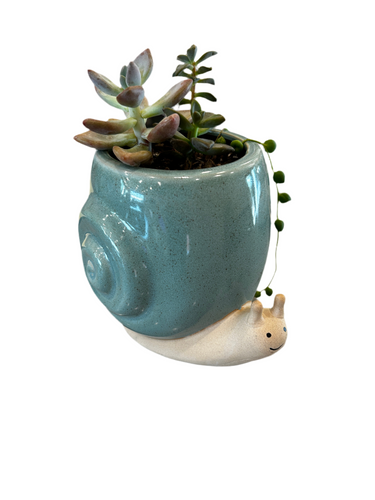 Monsieur Escargot Planter (Large snail)