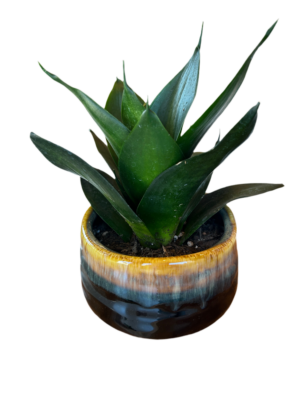 Zen Glazed Planter
