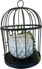 Load image into Gallery viewer, Small Hanging Cage Succulent Planter