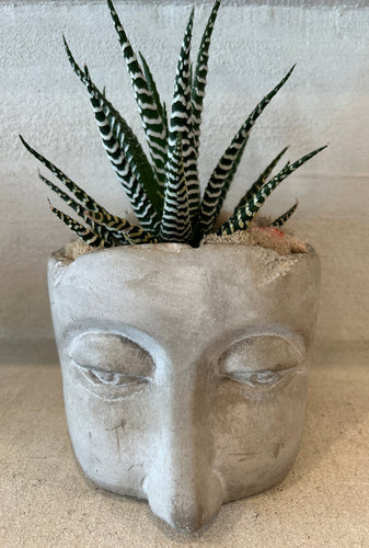 Medium Sleepy Face Planter