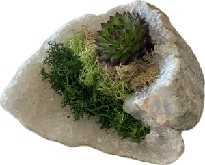 Gem Stone Succulent Planter