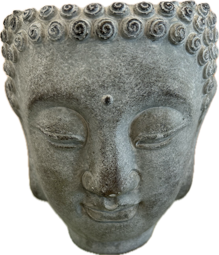 Buddha Wall Hanging Planter