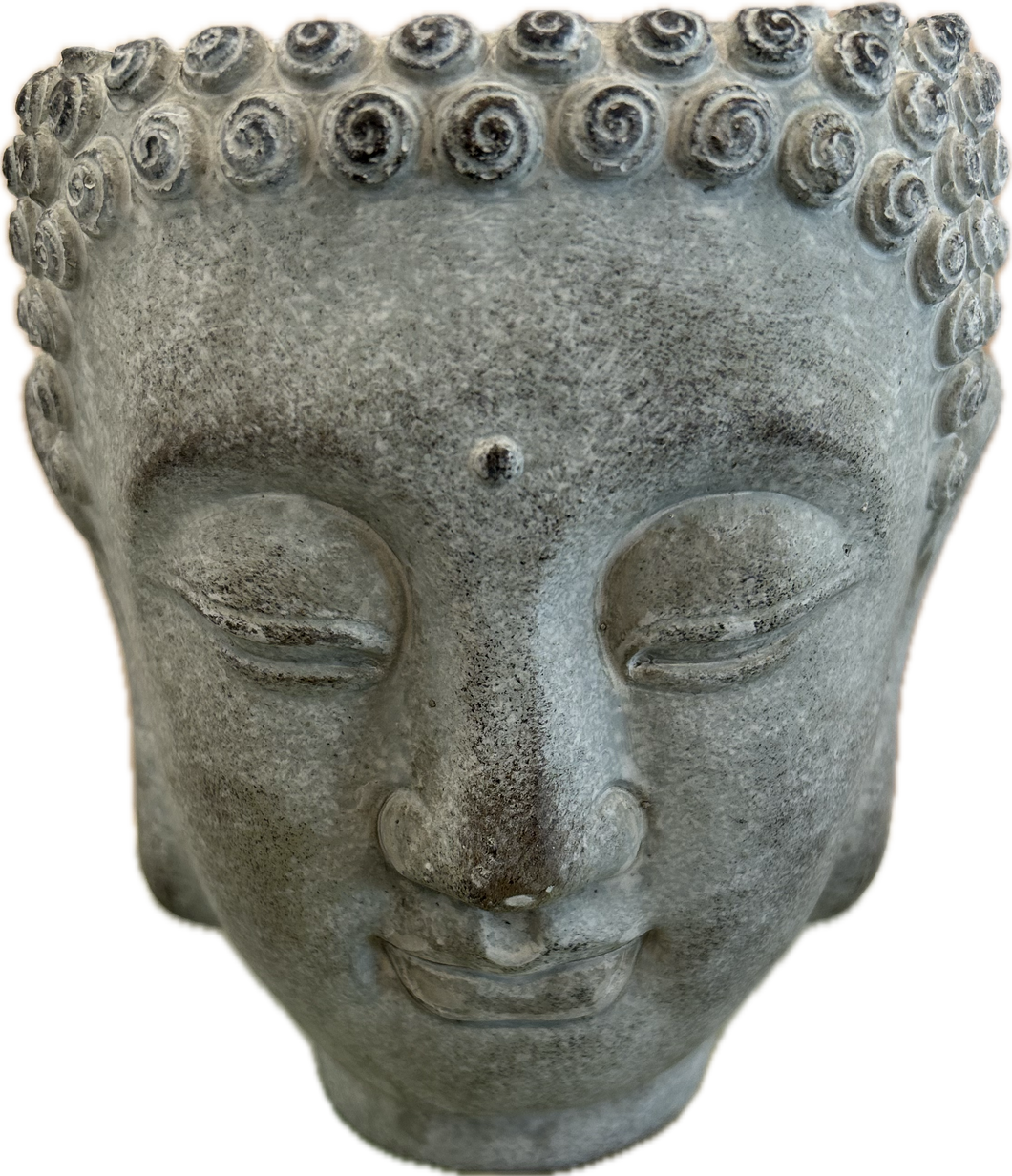 Buddha Wall Hanging Planter