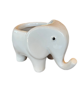 White Elephant Planter