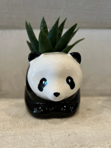 Mei Mei the Panda planter
