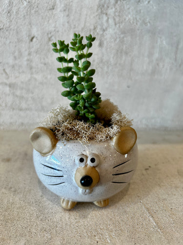 Stuart Little Small Mouse Planter