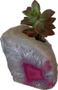 Gem Stone Succulent Planter