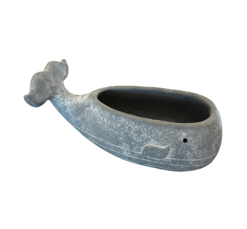 Medium Concrete Whale Planter