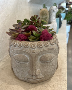 Cacti Buddha Crown - Concrete
