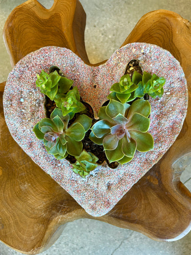 ILV Heart of Pink Crystals Planter