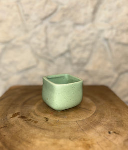 iLoveTus XSmall Pots