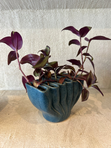 Blue Coral Planter
