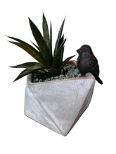 Load image into Gallery viewer, Little Perching Bird Pot Decoration