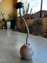 Load image into Gallery viewer, Rust Textured Vase Planter