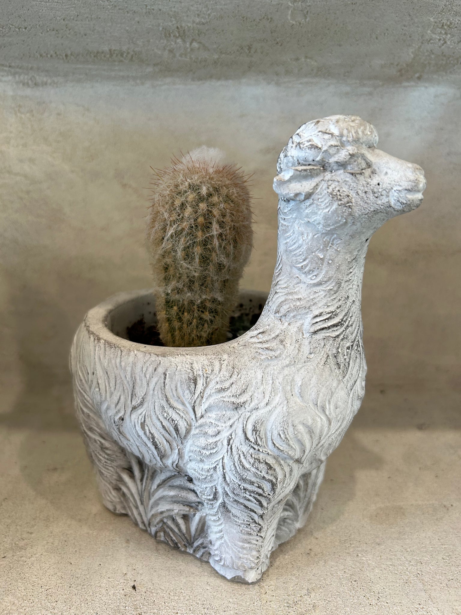 llama plant pot Llama Planter Pot – ILoveTus Succulents