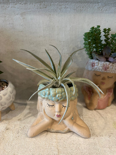 Green Sleepy Girl Planter