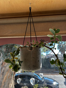 concrete hanging planter Medium Concrete Grey Hanging Planter – ILoveTus Succulents