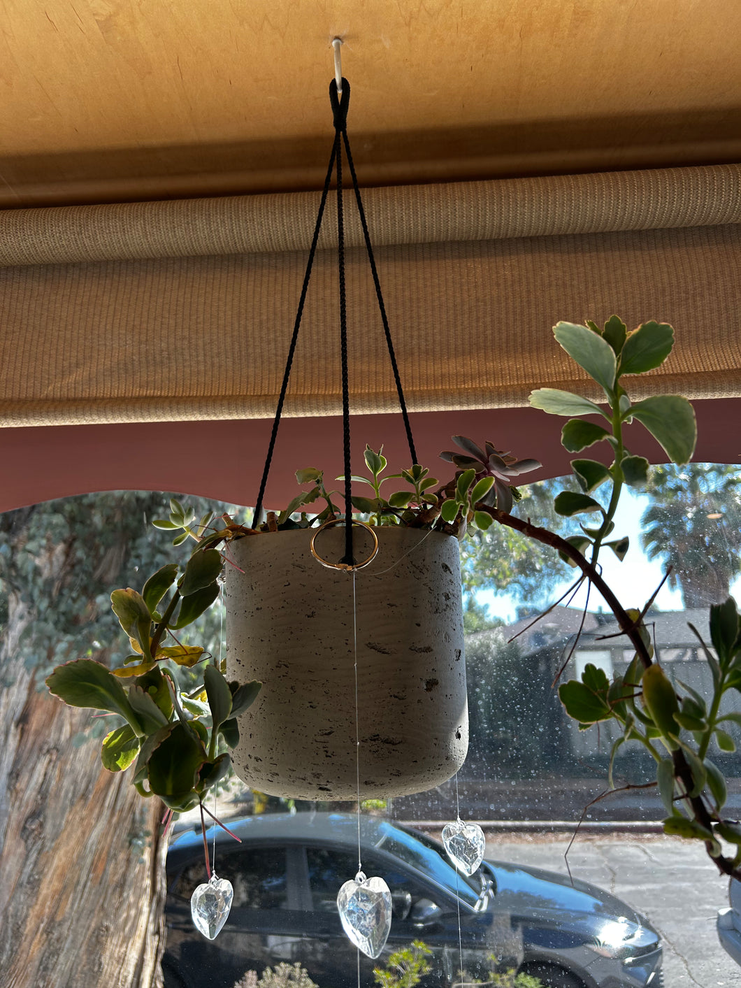 hanging car planter Large Concrete Grey Hanging Planter – ILoveTus Succulents