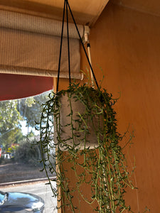 hanging concrete planter Large Concrete Grey Hanging Planter – ILoveTus Succulents