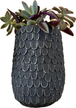 Load image into Gallery viewer, Black Scalloped Planter (Tall)