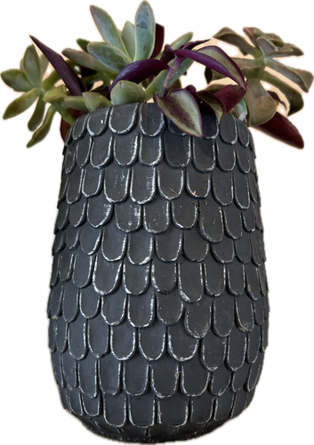 Black Scalloped Planter (Tall)
