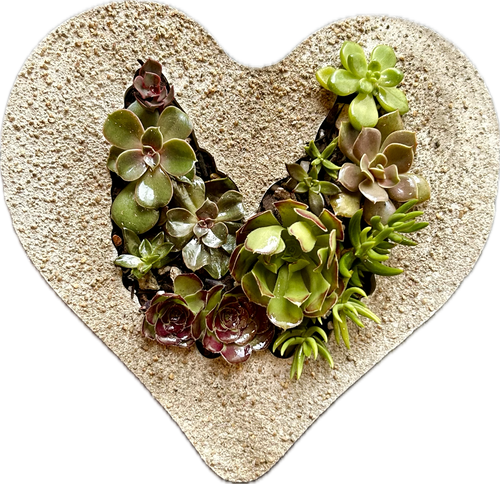 ILV Heart of Cement Planter