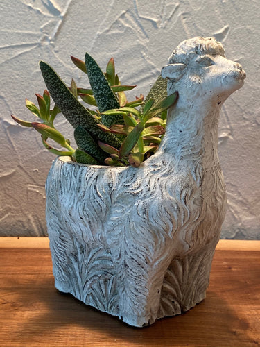 Llama Planter Pot