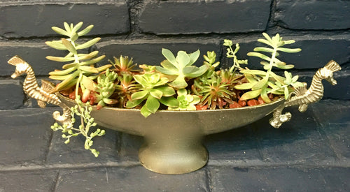 Boatus Metallic Mini Succulent Garden