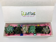 Load image into Gallery viewer, Romantic &quot;Box of Succulates&quot;  - Our 6 Stars of the Moment