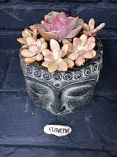Load image into Gallery viewer, Cacti Buddha Crown - Charcoal