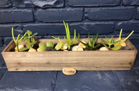 Modern Rectangtus Woodsy Succulent Garden