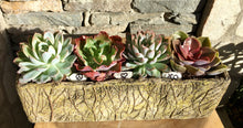 Load image into Gallery viewer, Modern Rectangtus Olive Ceramic Succulent Garden