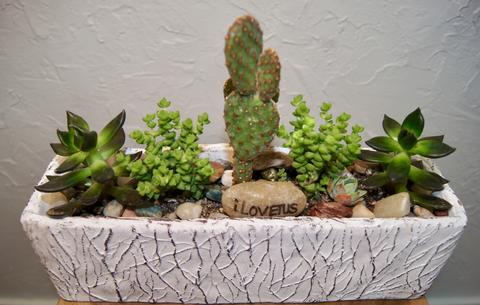 large rectangular succulent planter Modern Rectangtus White Ceramic Succulent Garden – ILoveTus Succulents