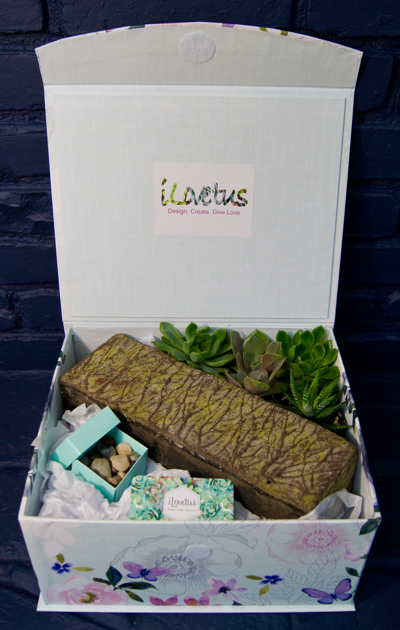 succulent kit gift Large Do-It-Yourself Lovetus Succulent Garden Kit – ILoveTus Succulents
